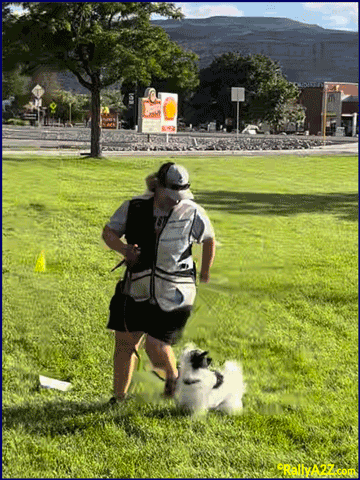 have fun training with your dog